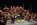 Concert Roanne 3.JPG